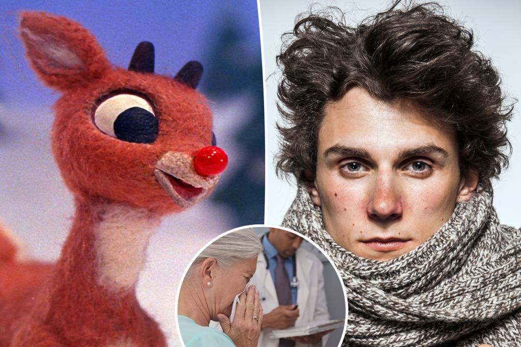 The 'Rudolph sign' of a red nose is a hint that you have this nasal infection - it's more common in winter