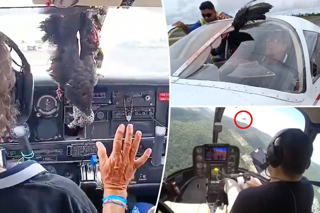 Vulture slams into cockpit window, stuns pilot and passengers: 'We thought we wouldn't make it out alive'